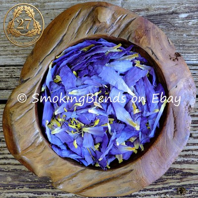 Premium Blue Lotus Flowers - Petals and Stamens