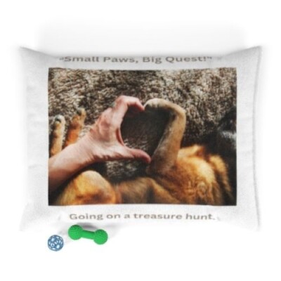 Small Paws, Big Quest... Pet Bed  size 40'' x 30''