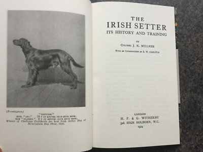 DOGS IRISH SETTERS GUNDOGS FIELD TRIALS MILLNER RED SHOOTING GROUSE SHOWS
