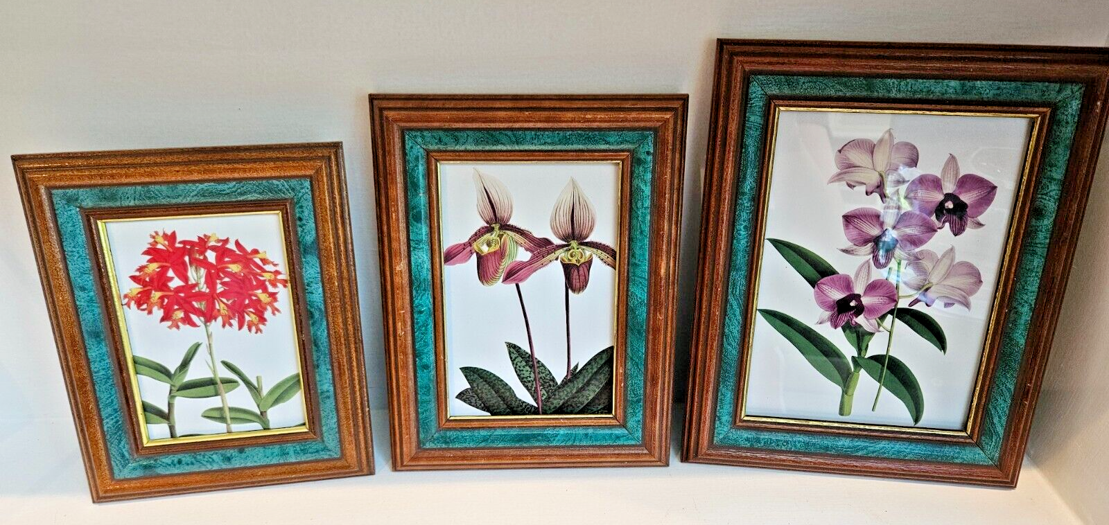 Vintage Wood Gold Green Picture Frames with Rare Botanical Prints 3-Piece Set-image