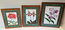 Vintage Picture Frames Wood Gold Green Art Lot 3 Set W/ Rare Botanical Prints 