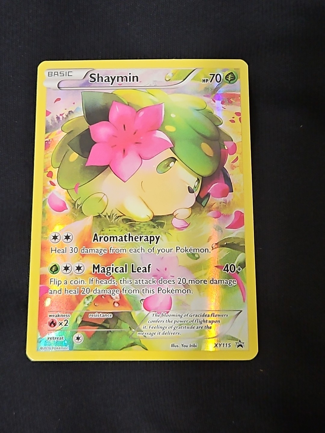 Pokémon TCG Shaymin Black Star Promos XY115 Holo Card