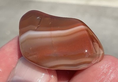 0.7 Oz Lake Superior Agate Polished TOP SHELF Bold Fortification Lsa