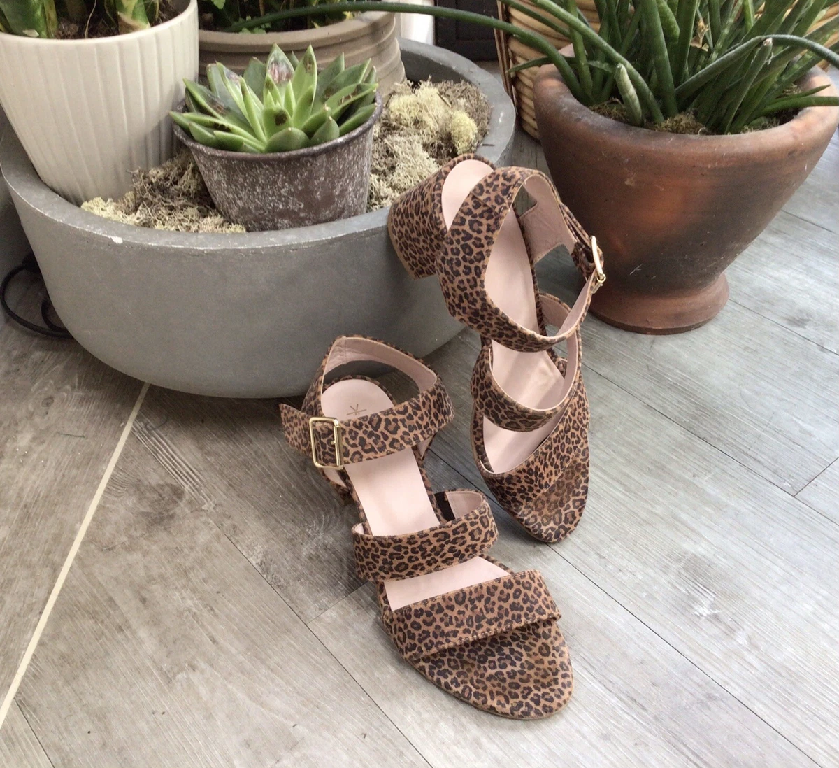 Carah ankle hotsell strap sandal