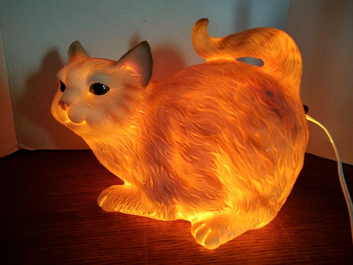 Light orange cheap cat