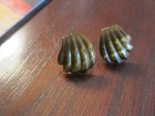 14K YELLOW GOLD SCALLOPED HAND CARVED SHELL TIGERS EYE EARRINGS — photo 7