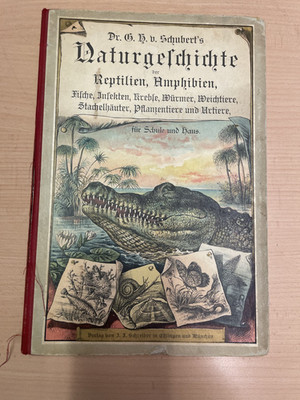 KINDERBUCH NATURGESCHICHTE DER REPTILIEN AMPHIBIEN VON DR. SCHUBERT ZUSTAND 2-3