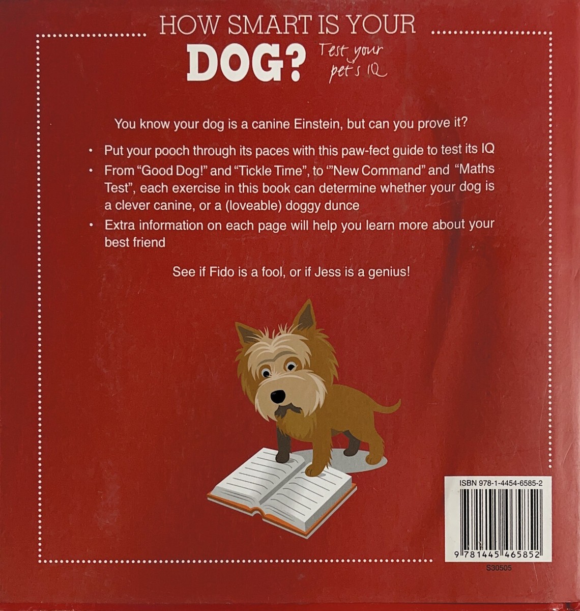 Iq Test Dogs With The Highest Iq Test Your Dog's IQ Paperback