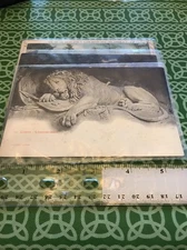 Lot Of 3 Sleeved Postcards *Fast Sell Price* Free Shipping 