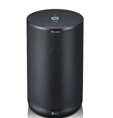 lg google home