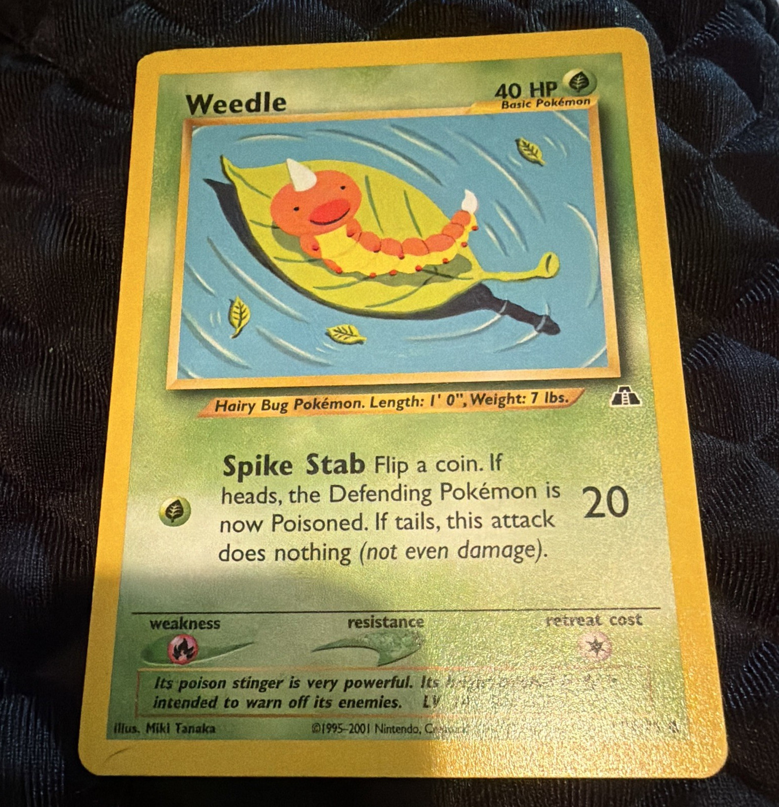 Weedle 70/75 Neo Discovery Regular Common Unlimited English 2001 40 HP