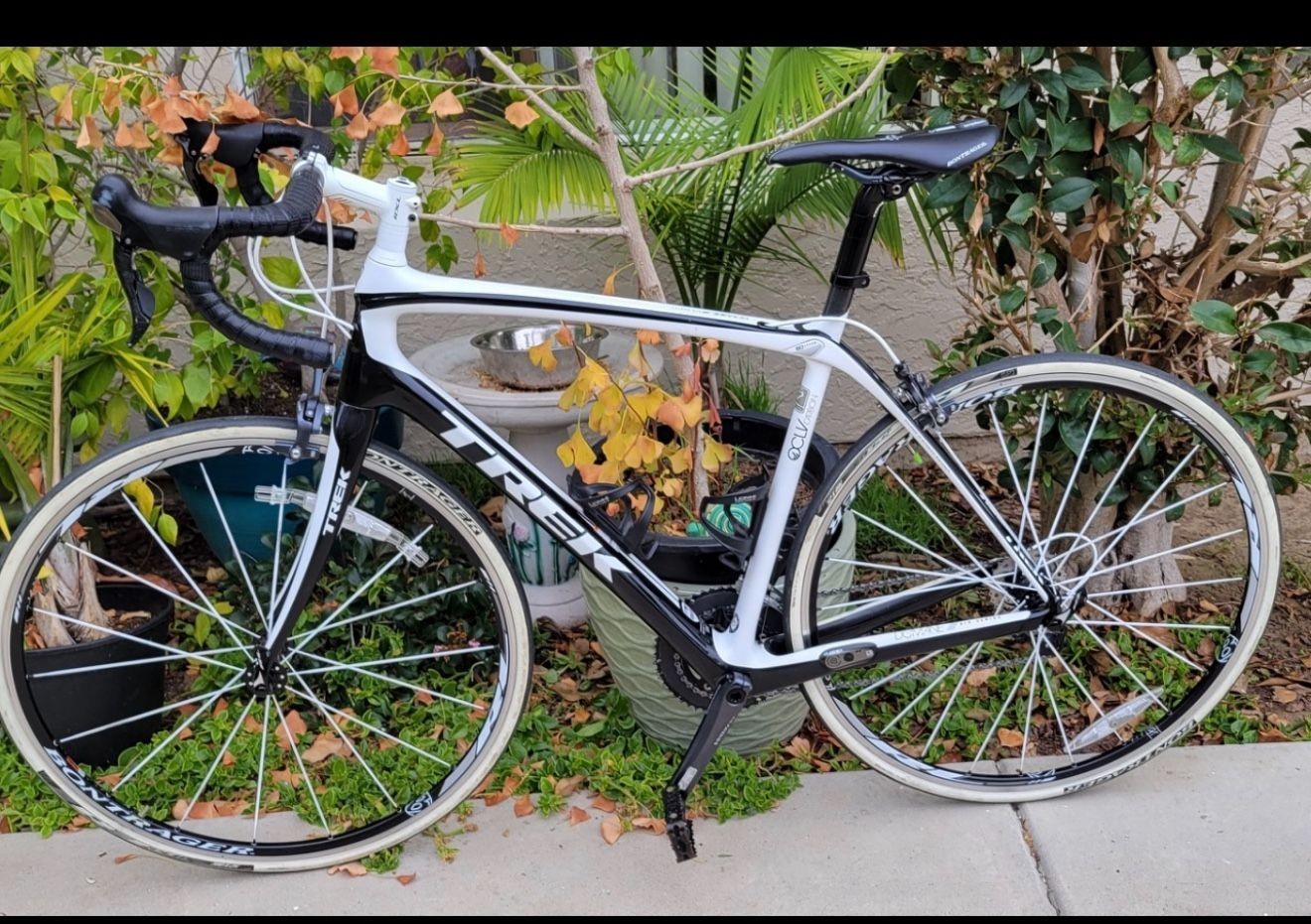 2016 Trek Domane 4.3 Full Carbon Fiber Road Bike Shimano  Medium 56cm