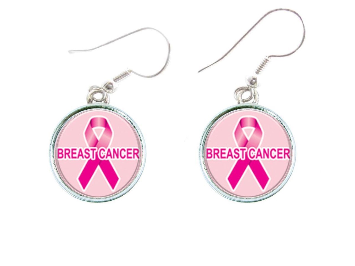 Breast Cancer Awareness Pink Ribbon Circle Silver Hook Earrings Jewelry Gift