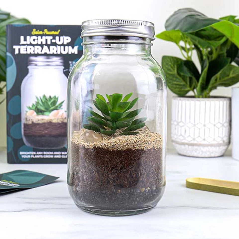 Gift Republic Light-Up Terrarium - Ideal Gift