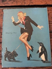 Vintage Elvgren Pin-Up Pinup Girl Art Print - Bird’s Eye View
