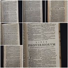 Foto 15 di 24