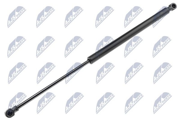 Nty AE-RE-029 Gasfeder, Koffer-/Laderaum FüR Renault-image