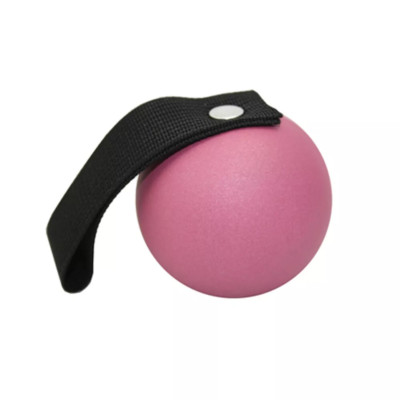 CST/Berger Type Tack Ball with Belt Clip