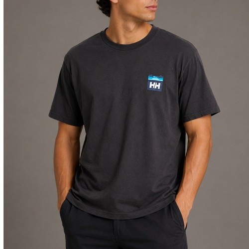 Helly Hansen Mens Graphic T-Shirt Large Charcoal Gray Mountain Logo Gorpcore HH