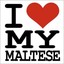 i_love_my_maltese