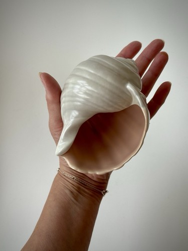 Poole Pottery Conch Shell Shaped Vase, Mid-20th Century C97