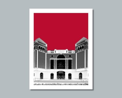 TEXAS RANGERS Ballpark in Arlington Photo Stadium Skyline 8x10 11x14 16x20 WBN2
