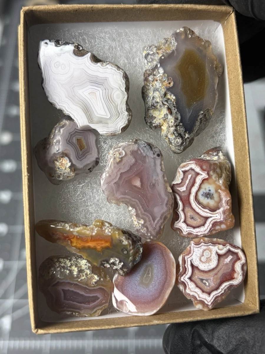 Laguna Agate for sale | eBay