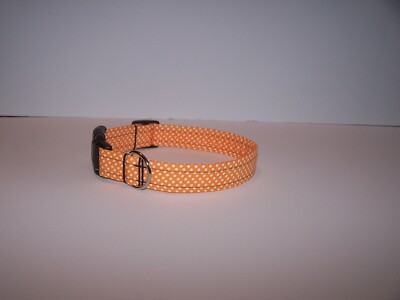 Wet Nose Designs Calypso Brite Tropical Polka Dots Dog Collar Tangerine Orange