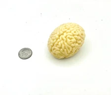 ONE Squishy Slime BRAIN BOUNCE BALL - Gross Novelty Gag Gift - WOW,, GROSS