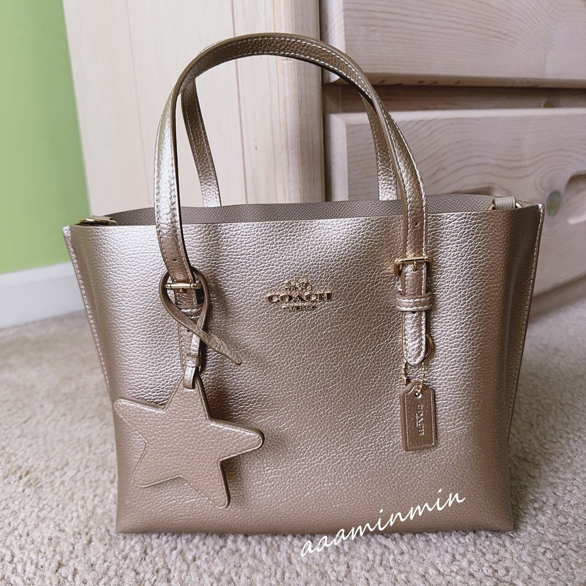NWT Coach Mollie Tote Bag 25 CX253 | eBay