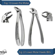 Tooth Extraction Forceps Lower Pre Molar Hawks Bill Tooth Pulling Dental Pliers