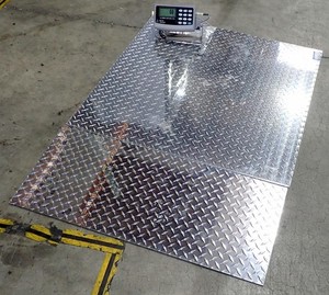 ARLYN P10-36 ArlynGuard 1000lb 36x36 Scale w/ MKE-5-IS Scale Head Ramp