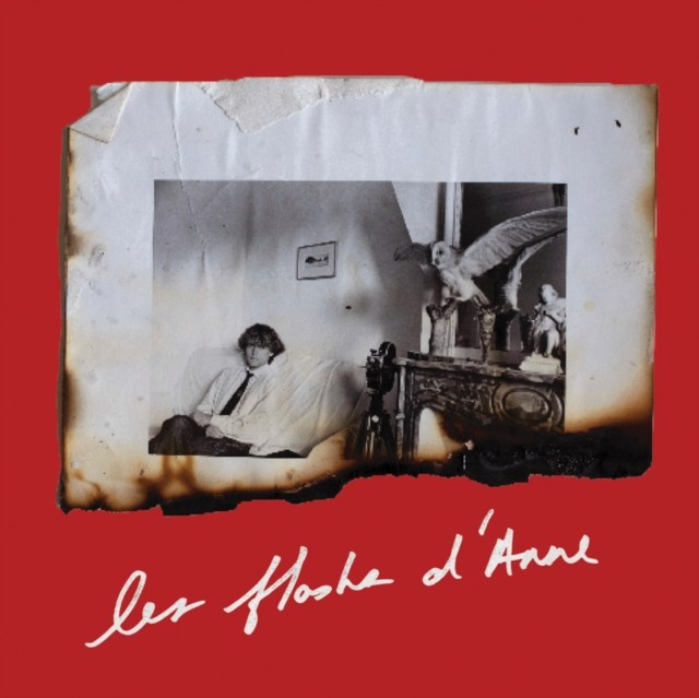 Anne Day: Les Flashes D'Anne by Anne Day (Paperback Book)