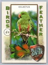 2021 Topps Allen & Ginter #BOF-1 Eclectus Birds of a Feather *ZM
