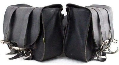 Willie and Max Saddlebags Harley motorcycle