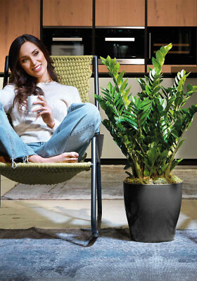 Modern Living Wheels Blumentopf Blumenübertopf mit Rollen 30 | 35