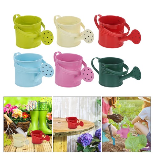 Chicken Watering Cans Flower Watering Can Chic Vase Watering Bucket