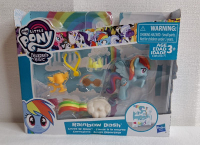 My Little Pony Friendship Magic Rainbow Dash Loves to Race (a)