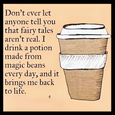Don't Let Anyone Ever Tell You Fairy Tales Aren't Real Drink Magic Potion MAGNET