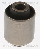 Triscan Lagerung, Lenker Achse, AußEn, Der, Hinten, Hinter, Hinterachse, Innen