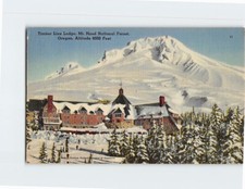 Postcard Timber Line Lodge Mt. Hood National Forest Government Camp Oregon USA