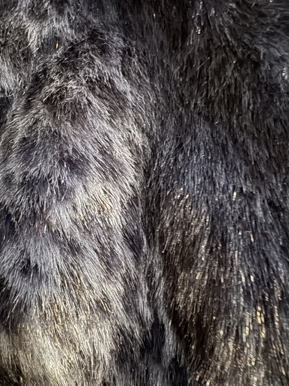 Authentic SpiritHoods Indigo Leopard Crop Jacket … - image 7