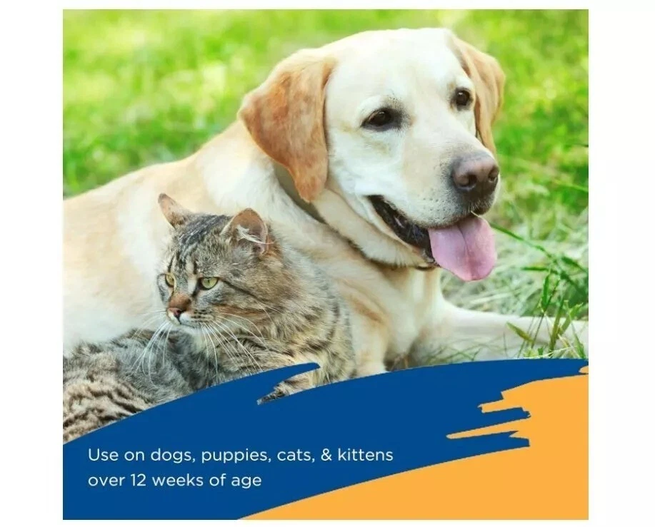 Spray antipulgas y garrapatas Zodiac para perros, cachorros, gatos y gatitos - 16 oz Foto 4 de 4