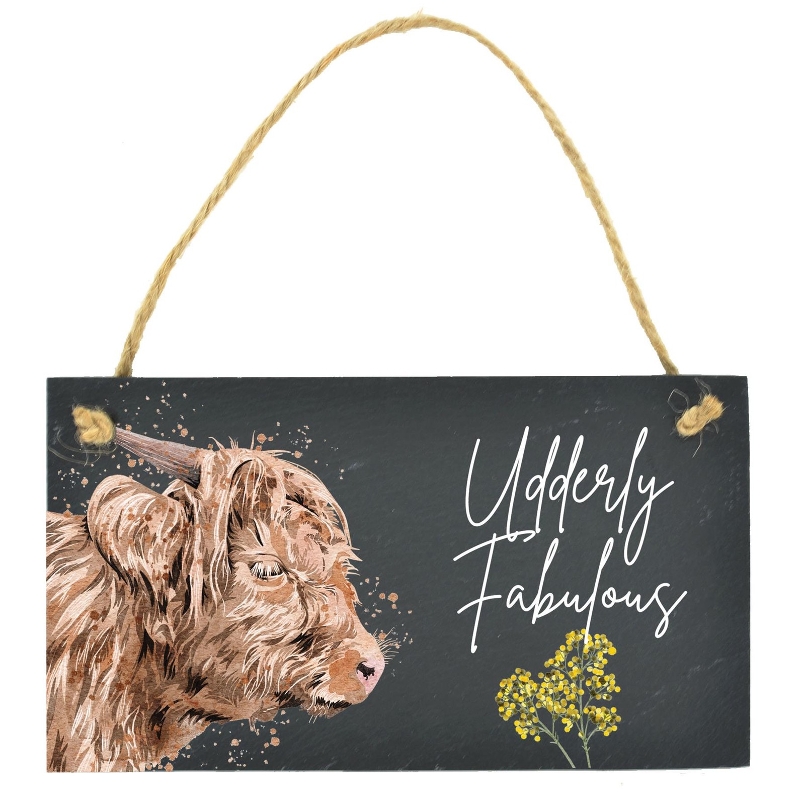 Udderly Fabulous Watercolour Highland Cows Decorative Slate Plaque