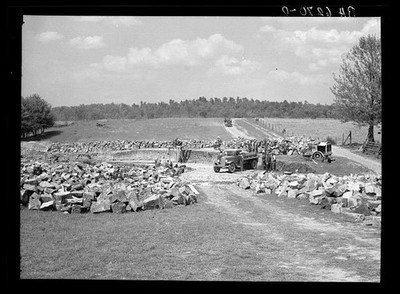 Photo:Robbs Illinois 1936 Dixon Springs Quarry Building Stone Pasture Demo
