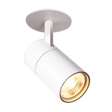 Indoor LED COB Ceiling Light Fixture Adjustable Recessed Lamp Picture Spotlight