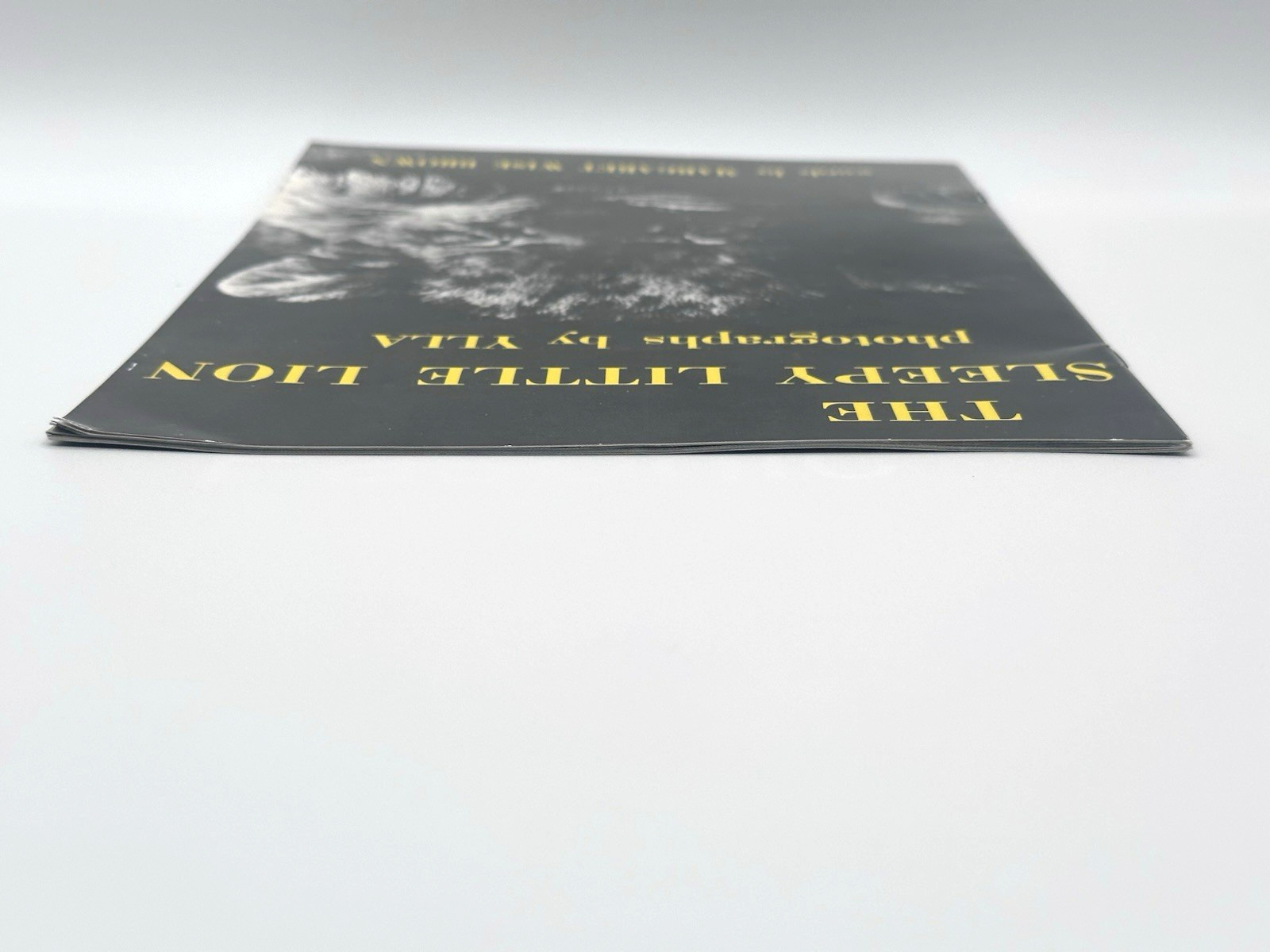 The Sleepy Little Lion by Margaret Brown (Paperback, 1947, 1975)