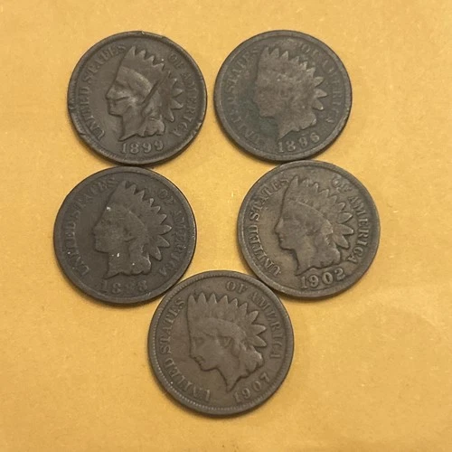 Lot of 5Indian Head Cents / Pennies - Good Filler Coins #ru23/24