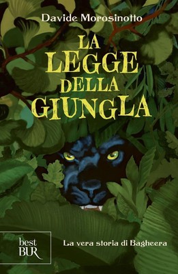 Davide Morosino La legge della giungla. La vera storia (Taschenbuch) (US IMPORT)