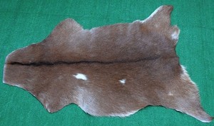 GOAT Western taxidermy Hide Rug Natural Pattern Fur Goat Hide Rode SA-3815